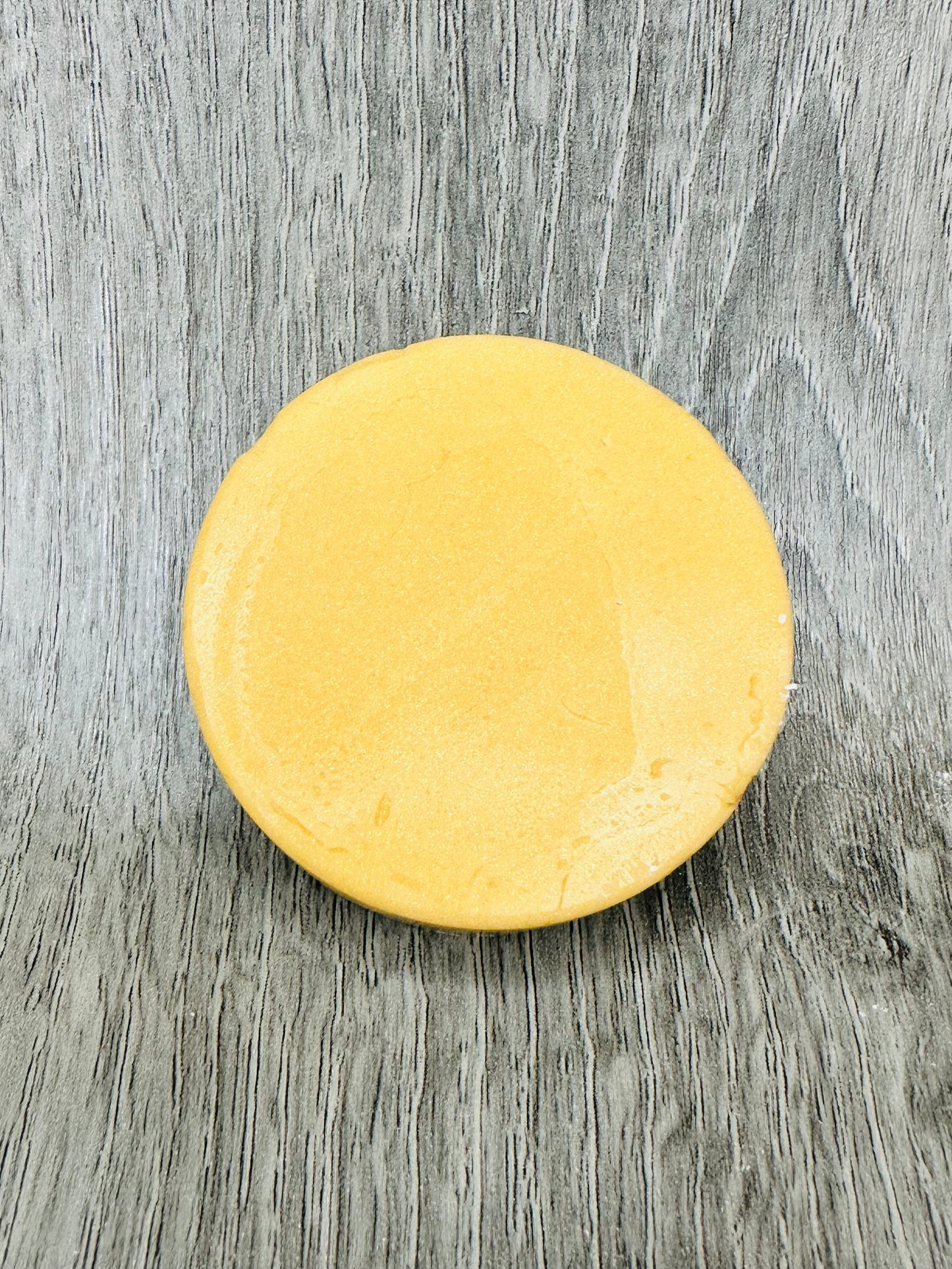 Coconut Paradise Conditioner Bar/barre de revitalisant