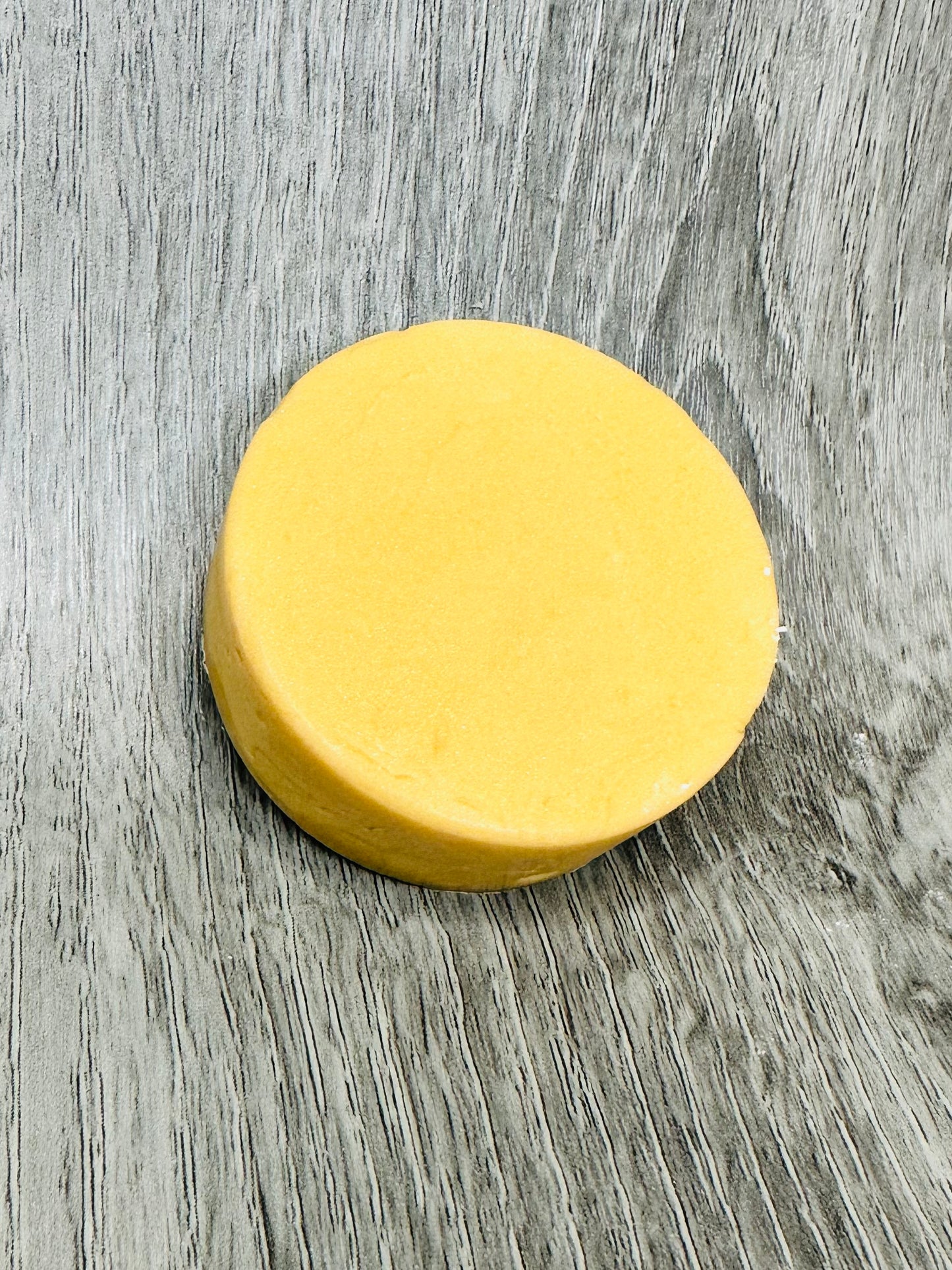 Coconut Paradise Conditioner Bar/barre de revitalisant
