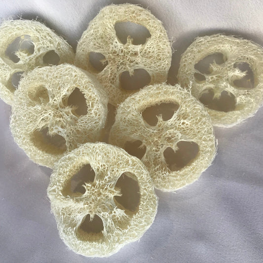 Loofah Round - Suggested use: to keep shampoo bars well ventilated to extend usage