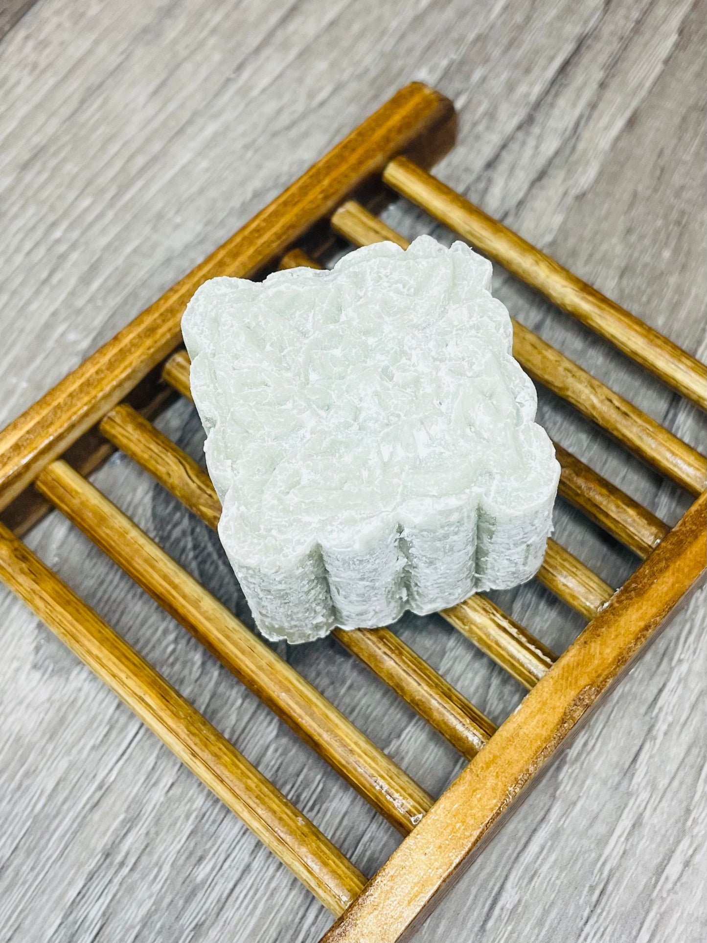 Lagoon Shampoo Bar/barre de shampooing