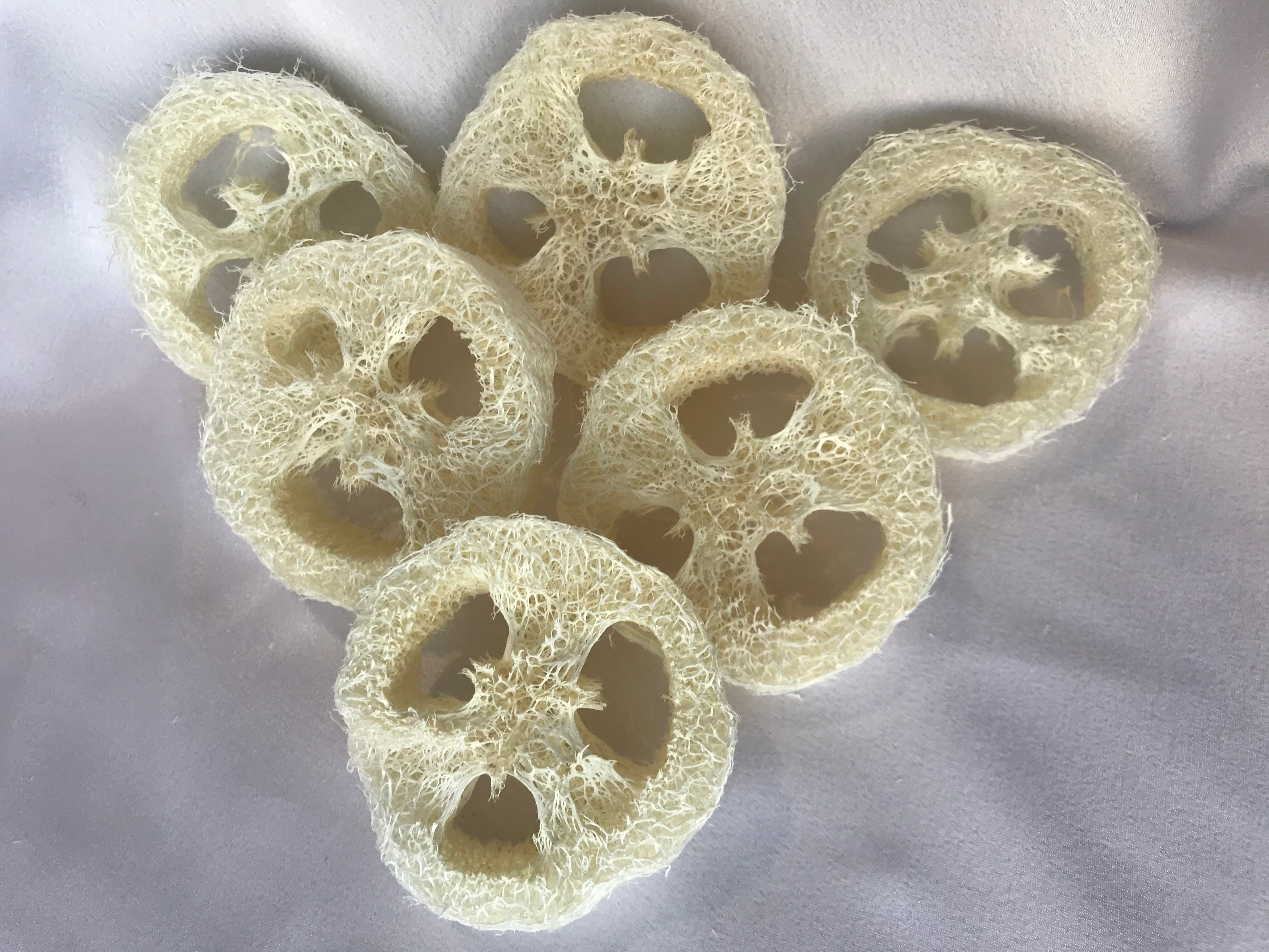 Loofah round – Lemongrass & Lavender